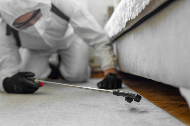 Professional Termite Control technician working in North Barrington, IL