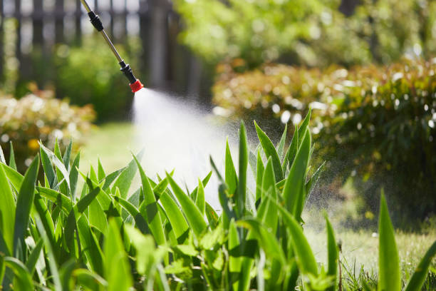 24/7 Emergency Termite Control experts in North Barrington, IL