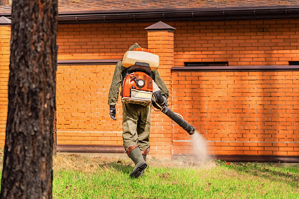 Trusted Emergency Pest Control service in North Barrington, IL - Nex Pest Control